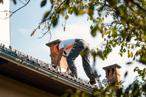 Fast & Reliable Emergency Roof Repairs in Roosevelt Park, MI