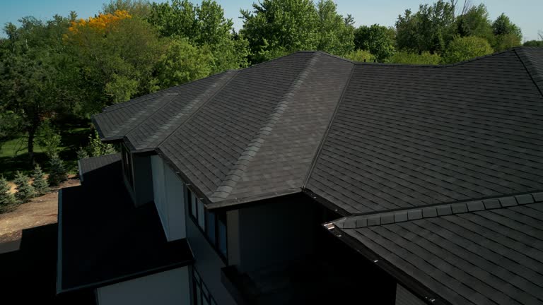 Best Roof Maintenance and Cleaning  in Roosevelt Park, MI