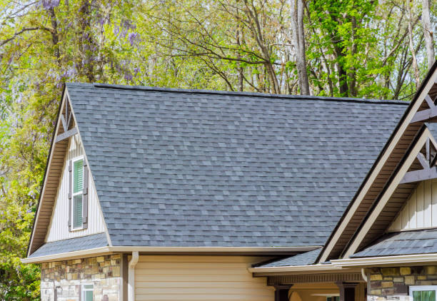 Best Roof Moss and Algae Removal  in Roosevelt Park, MI