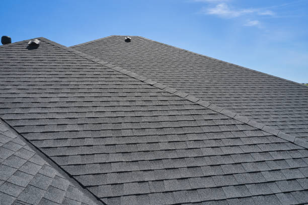 Best Sheet Metal Roofing  in Roosevelt Park, MI