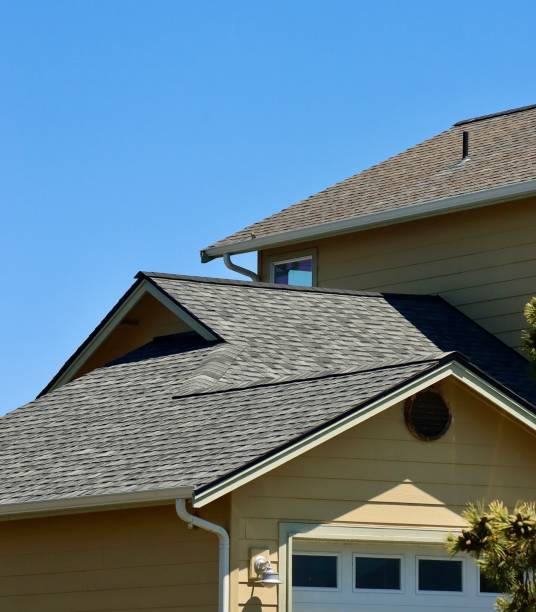 Trusted Roosevelt Park, MI Roofing Experts